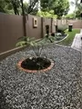 Landscaping Garden Maintenance Groundskeeping Turf Management Moreletta Park 011