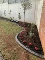 Landscaping Garden Maintenance Groundskeeping Turf Management Waterkloof Marina 012
