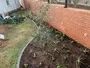 Landscaping Garden Maintenance Groundskeeping Turf Management Waterkloof Marina 016